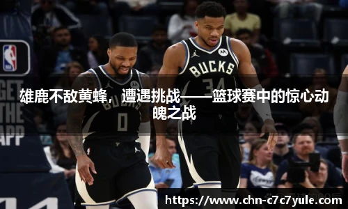 雄鹿不敌黄蜂，遭遇挑战——篮球赛中的惊心动魄之战